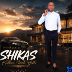 Dlamini Shika's Mshikashika – Luyimalini kwithimu yokqala