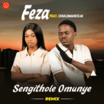 Feza – Sengithole Omunye
