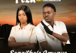 Feza – Sengithole Omunye