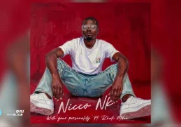 Dj Njebza – Party Next Door