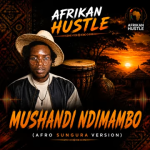 Afrikan Hustle - Mushandi ndiMambo (Afro-Sungura Version)
