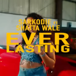 Sarkodie x Shatta Wale - Everlasting