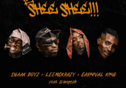 Swaak Boyz, Leemckrazy & Carnival King – SHEE SHEE!!!