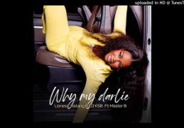 Lioness Ratang, DJ KSB - Why My Darlie