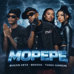 Bukzin Keyz – Mopepe Amapiano