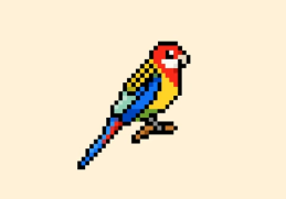 Eastern Rosellas Song - Miles Phillips