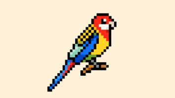 Eastern Rosellas Song - Miles Phillips