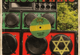 3D a.k.a. Uchu & Vusinator – Raggapiano