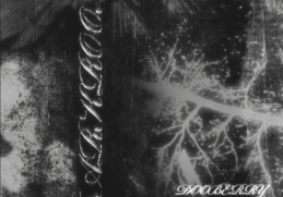 DooBerry & DT.MO – DarkRoom