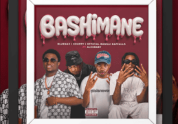Bluenax, XDuppy, Official Bangal Baffallo & AlexBaby – Bashimane